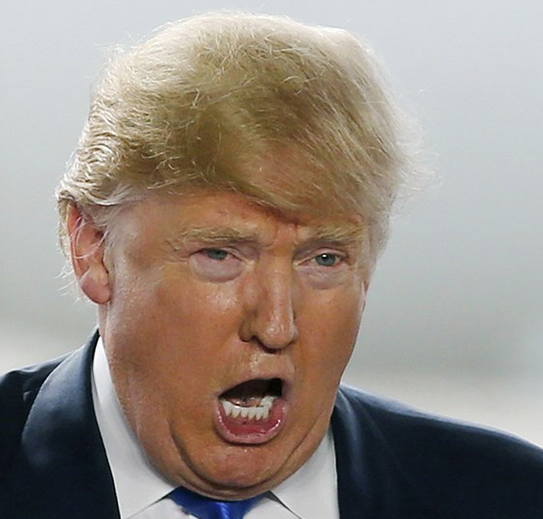 ترامپ: این تیراندازی تروریستی تقصیر بایدن است